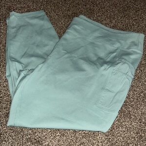 Women’s Carhartt Fitted Pants